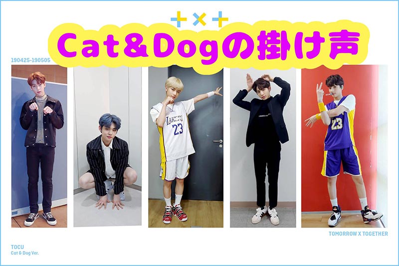 TXT スビン サノク トレカ cat&dog ショッピング安い spcorp.tokyo